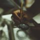 What Content Marketers Should Know About GDPR